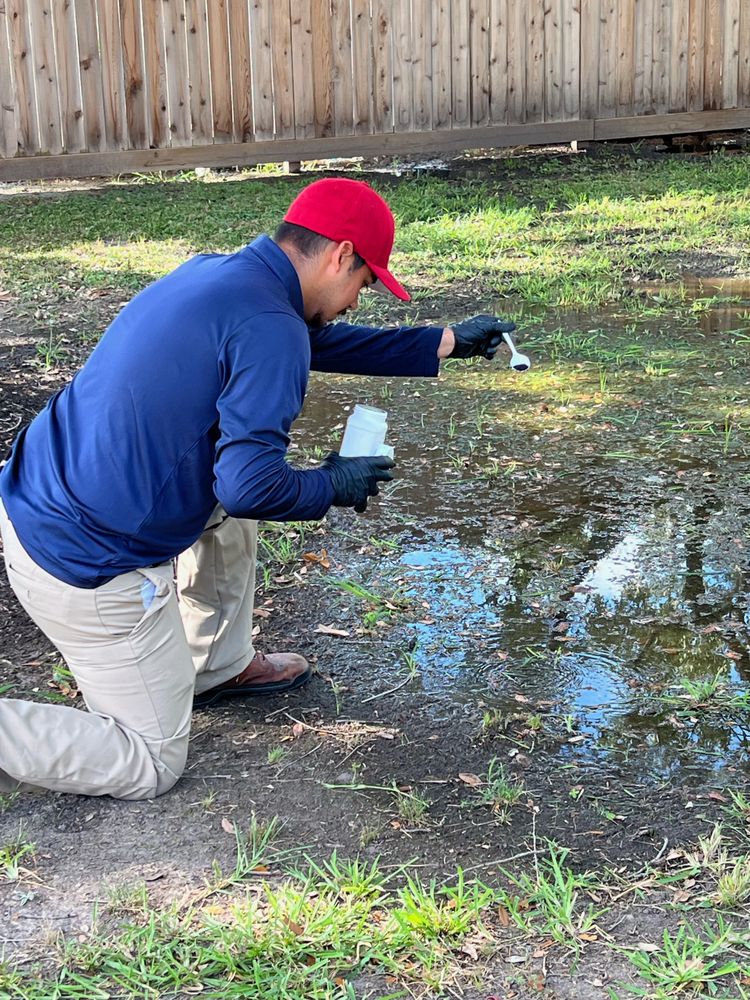 A technician kneeling in a yard, applying mosquito-control granules to a puddle of standing water